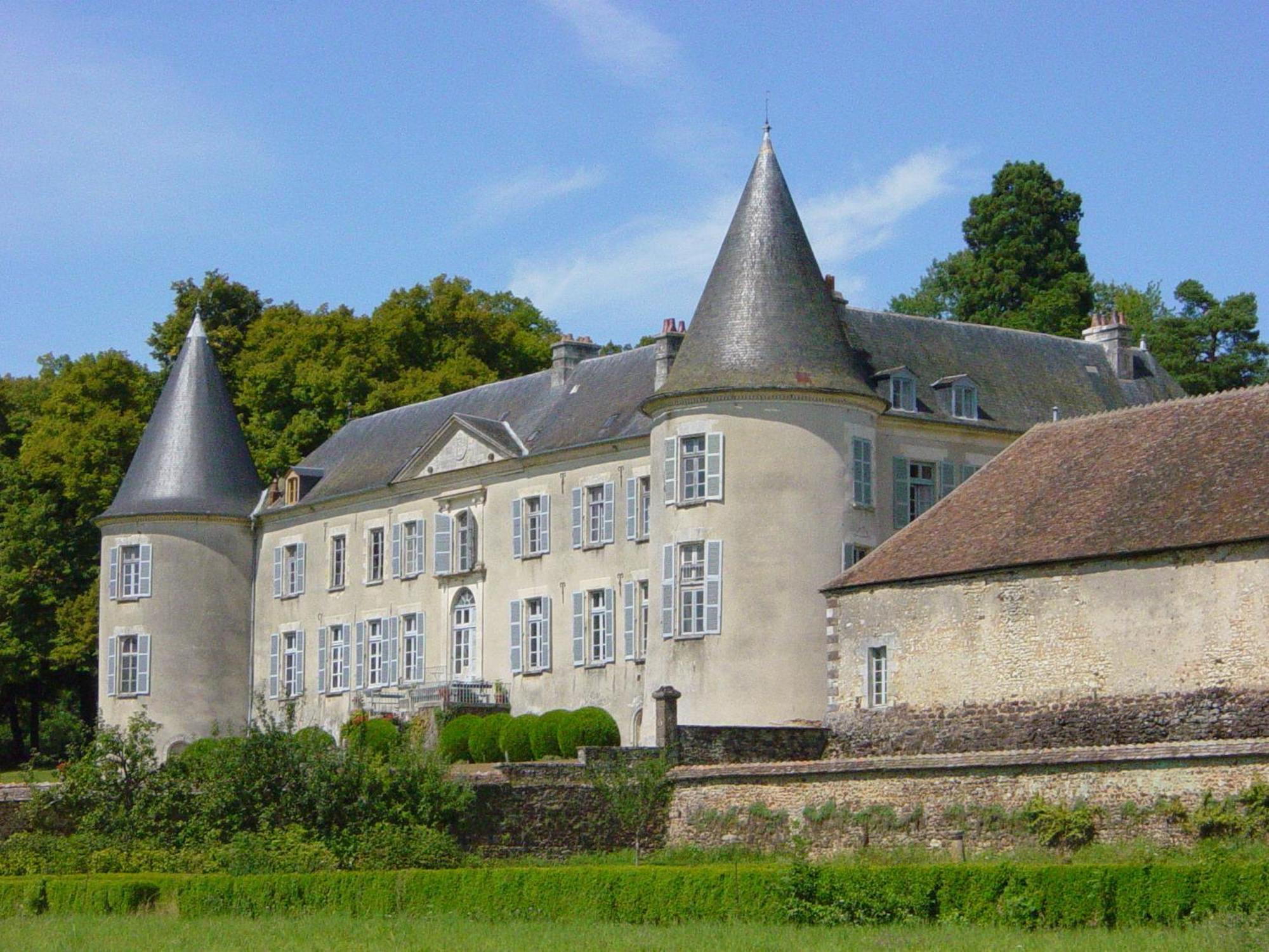 Bed and Breakfast Chateau De Beaujeu Sens-Beaujeu Exterior foto