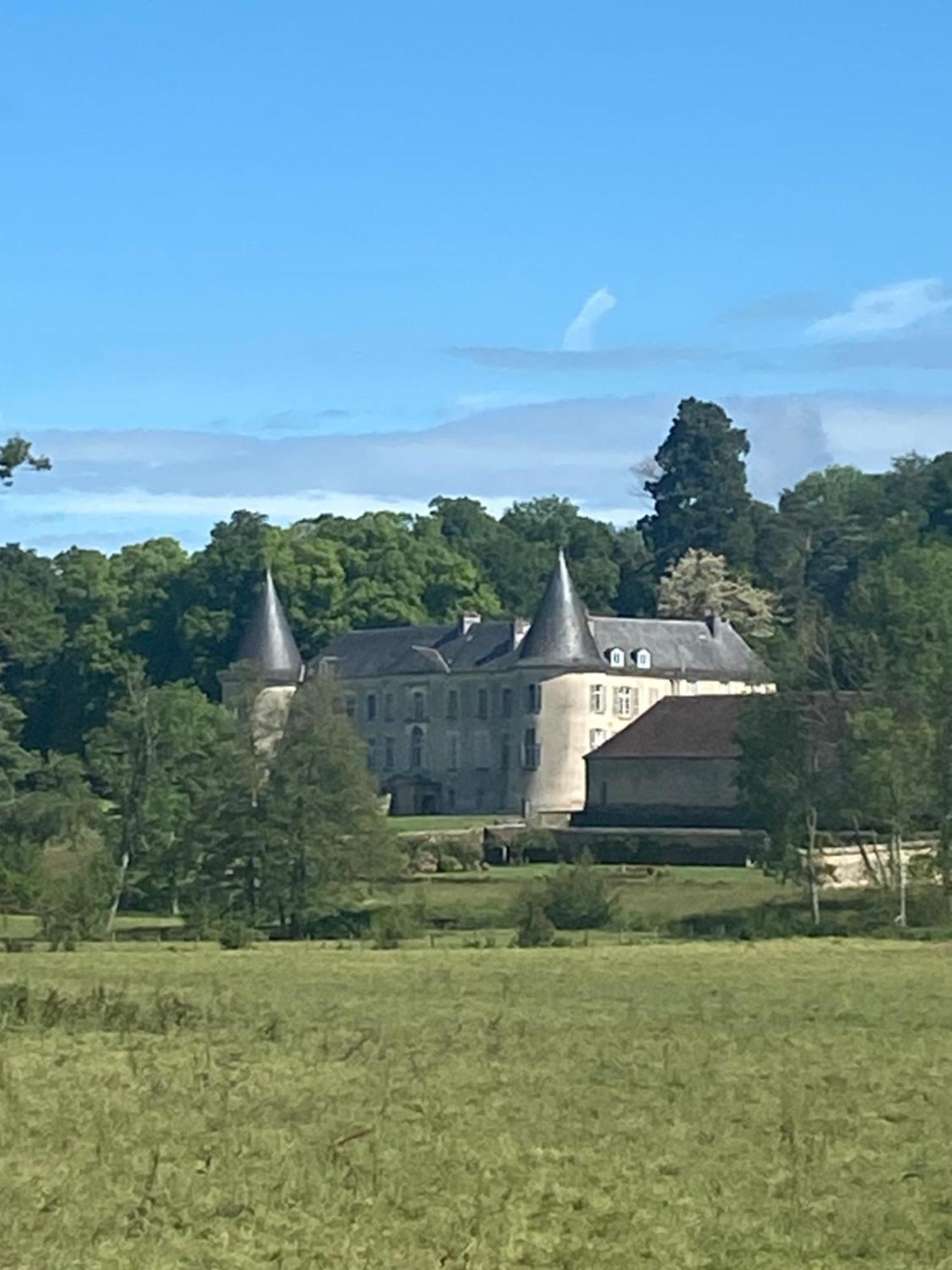 Bed and Breakfast Chateau De Beaujeu Sens-Beaujeu Exterior foto